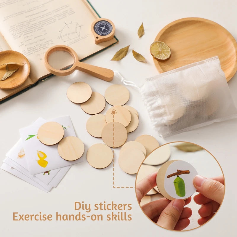 Montessori-Lebenszyklus-Puzzle