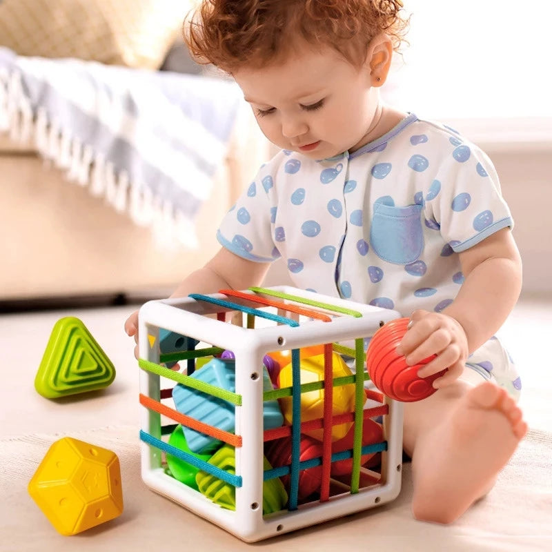 Baby Formen Sortierwürfel Spielzeug